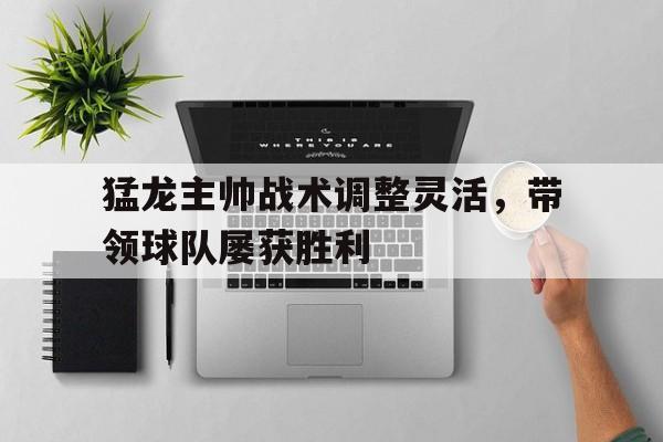 猛龙主帅战术调整灵活，带领球队屡获胜利