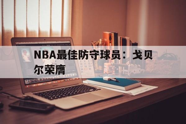 NBA最佳防守球员：戈贝尔荣膺